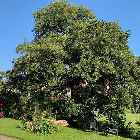 Ferienwohnung Am Rennsteig Bei Eisenach - Ilona Schmidt Wolfsburg-Unkeroda Εξωτερικό φωτογραφία